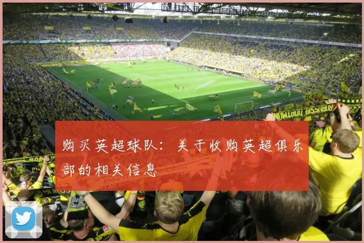 购买英超球队：关于收购英超俱乐部的相关信息