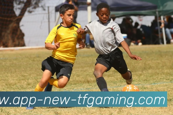 App Interface Preview